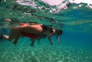 San Juan: Snorkeling with Turtles Adventure and Free Videos