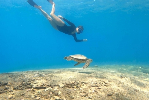 San Juan: Svøm og snorkle med skildpadder ved Escambron