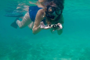 San Juan: nuota e fai snorkeling con le tartarughe a Escambron
