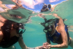 San Juan: Zwemmen en snorkelen met schildpadden bij Escambron