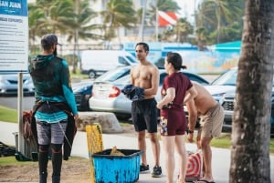 San Juan: Svøm og snorkl med skilpadder ved Escambron