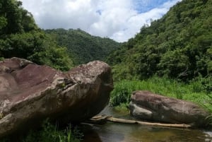 San Juan: Toro Negro River Hike & Cliff Jumping Adventure