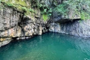 San Juan: Toro Negro River Hike & Cliff Jumping Adventure