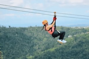 San Juan: Toro Verde Zipline-eventyr med transport