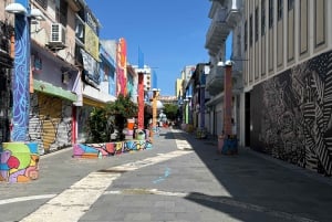 San Juan: Visit old San Juan and New San Juan highlights