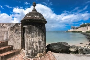 San Juan: Visita a pie con guía experto