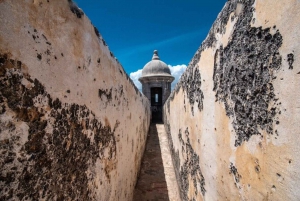 San Juan: tour a piedi con guida esperta