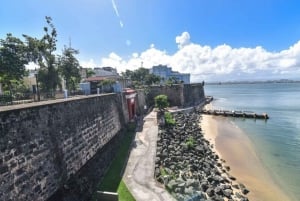 San Juan: Walking Tour with Expert Guide