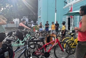 San Juan: Recorrido en bici por el barrio y el arte urbano de Santurce