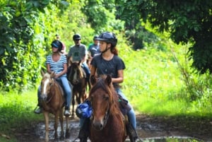 Naturskjønne opplevelser på hesteryggen