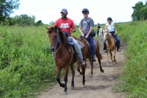Naturskjønne opplevelser på hesteryggen