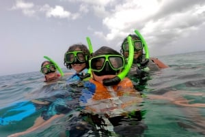 Shared Snorkeling Experience with Salty Spirit