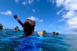 Shared Snorkeling Experience with Salty Spirit