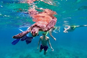 Shared Snorkeling Experience with Salty Spirit