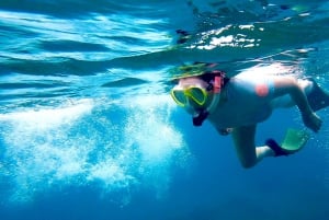 Shared Snorkeling Experience with Salty Spirit