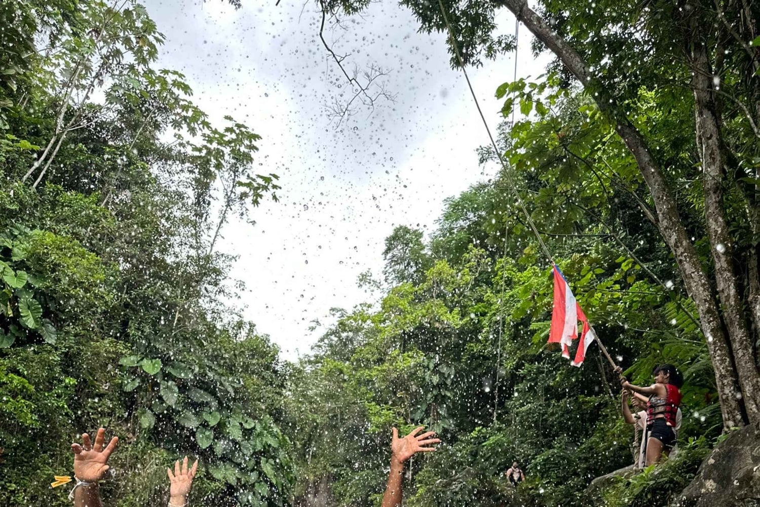El Yunque Rainforest Tour in kleine groep met vervoer