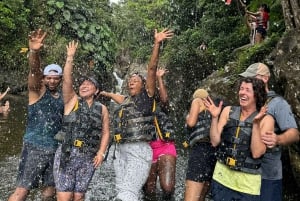 Small-Group El Yunque Rainforest Tour with Transport