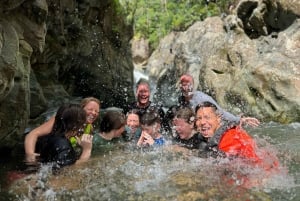 Small-Group El Yunque Rainforest Tour with Transport