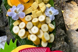 El Yunque Rainforest Tour in kleine groep met vervoer