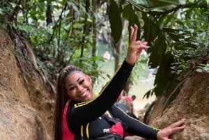 El Yunque Rainforest Tour in kleine groep met vervoer