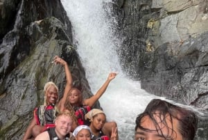 El Yunque Rainforest Tour in kleine groep met vervoer