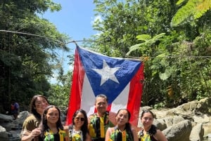 El Yunque Rainforest Tour in kleine groep met vervoer