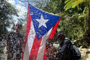 El Yunque Rainforest Tour in kleine groep met vervoer