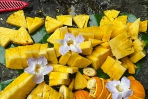 El Yunque Rainforest Tour in kleine groep met vervoer