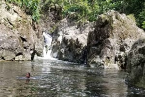 P-up/ San Juan: El Yunque Half-Day Tour with Transportation