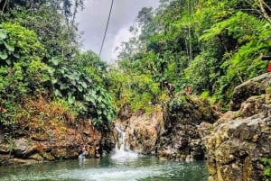 P-up/ San Juan: El Yunque Half-Day Tour with Transportation