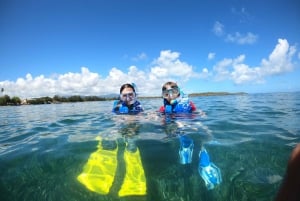 Snorkeling Gear Rental