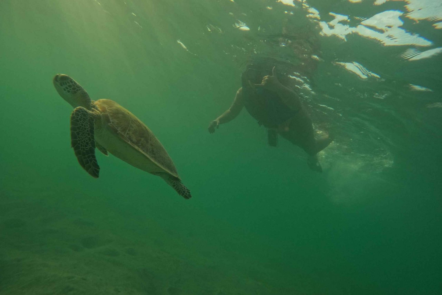 Snorkeling with Turtles in San Juan w/Photo & Videos GoPro4K