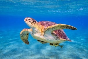 Eteläinen Gran Canaria: Luksusjahtiristeily pienelle ryhmälle