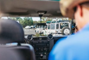 South Gran Canaria: Off-Road Valleys & Villages Jeep Tour