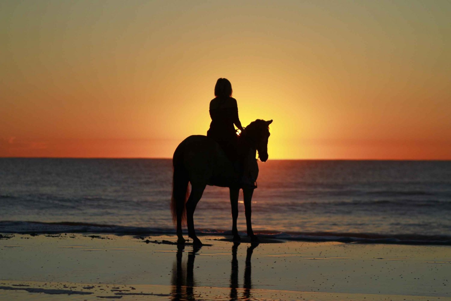 Tamarindo: Horseback to Conchal Beach Guanacaste, Costa Rica