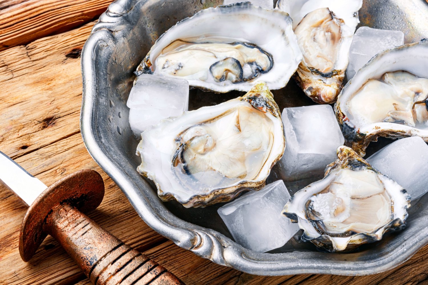 The Oyster Shack