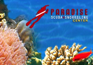 Paradise Scuba and Snorkeling