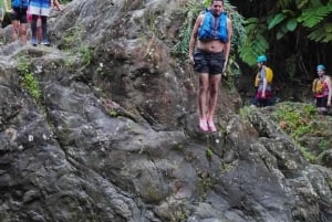 Transporte para as cachoeiras e o toboágua da floresta tropical El Yunque