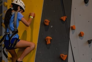 Городской парк: скалодром Пико дель Торо