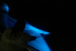 Vieques : Tour en bateau de la baie bioluminescente