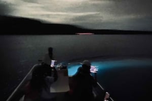 Vieques: Bioluminescent Bay Boat Tour