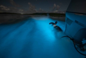 Vieques : Tour en bateau de la baie bioluminescente