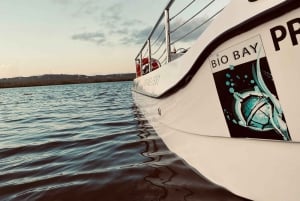 Vieques: Bioluminescent Bay Boat Tour