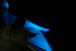 Vieques: Bioluminescent Bay Boat Tour