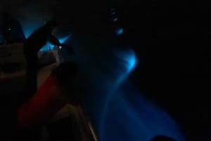 Vieques: Bioluminescent Bay Boat Tour