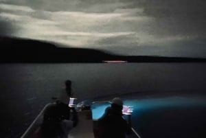 Vieques: Bioluminescent Bay Boat Tour