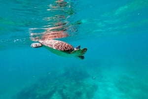 Vieques: Private Bioluminescent Bay Boat Charter