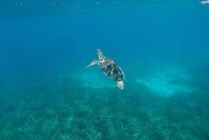 Vieques: Private Bioluminescent Bay Boat Charter