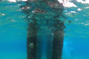 VIP Snorkeling with Turtles Adventure