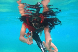 VIP Snorkeling with Turtles Adventure